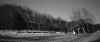 VIEW_OF_ALVA.jpg (61747 bytes)