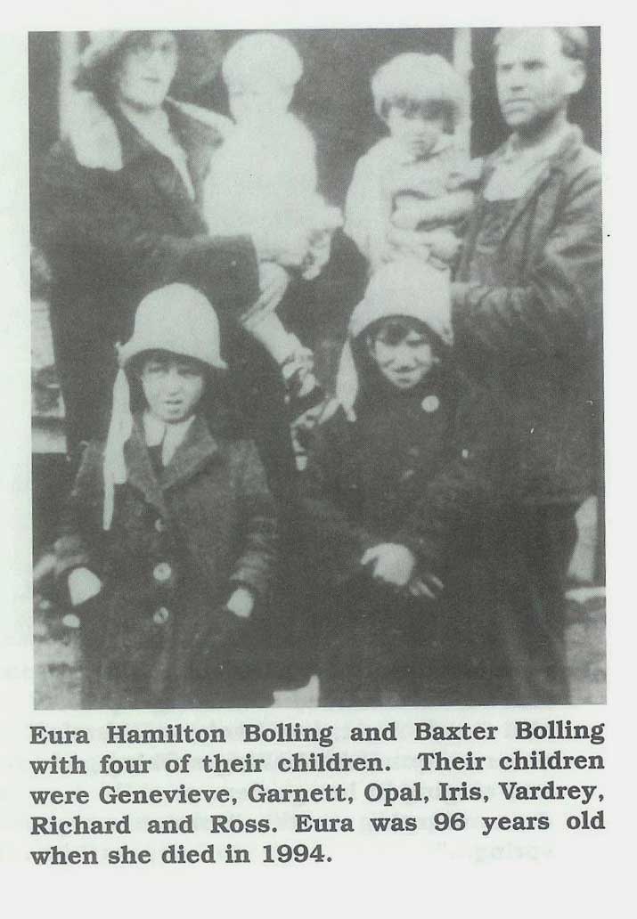 Hamilton-Bolling-small