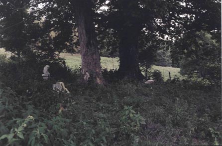 nunnallycemetery2.jpg (31268 bytes)